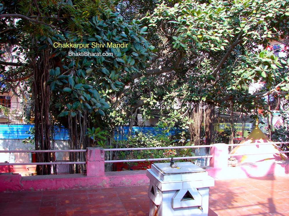 Mandir From First Floor