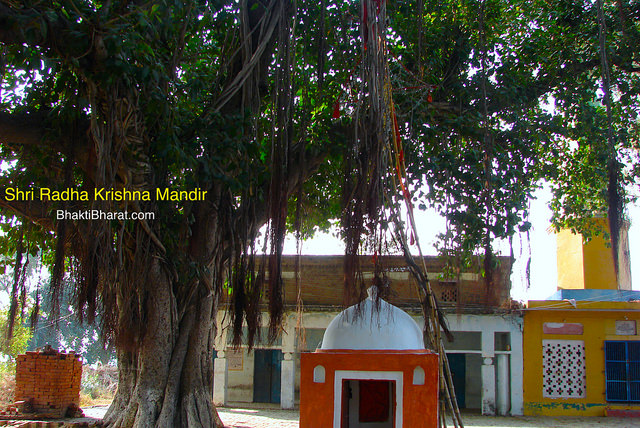 Shri Radha Krishna Mandir, Sainavali () - Sainavali or Sehnaoli Sirsaganj Uttar Pradesh